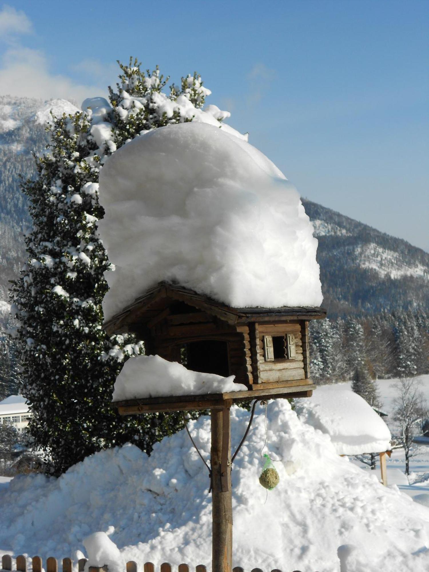Paulbauer Villa Sankt Wolfgang im Salzkammergut Bagian luar foto