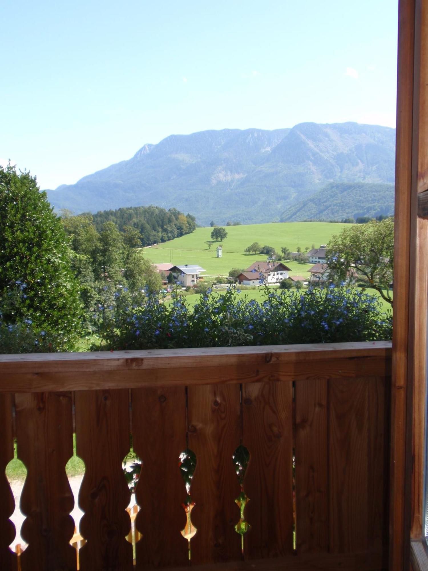 Paulbauer Villa Sankt Wolfgang im Salzkammergut Bagian luar foto