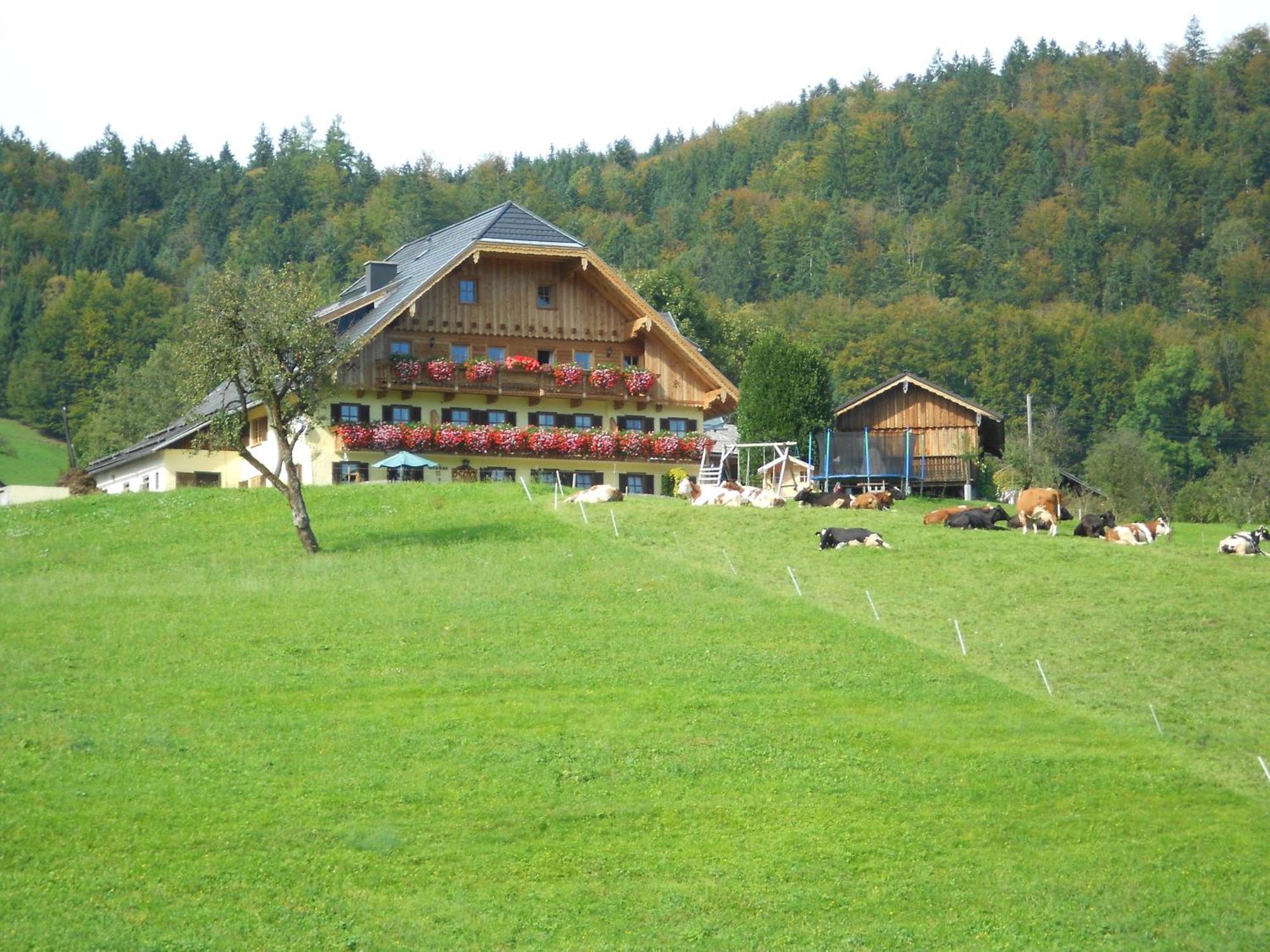 Paulbauer Villa Sankt Wolfgang im Salzkammergut Bagian luar foto